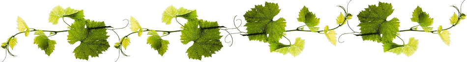 sperar