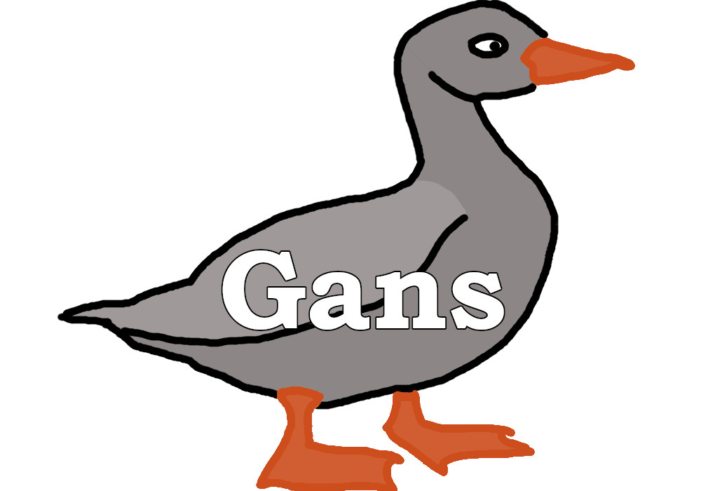 Gans1 50